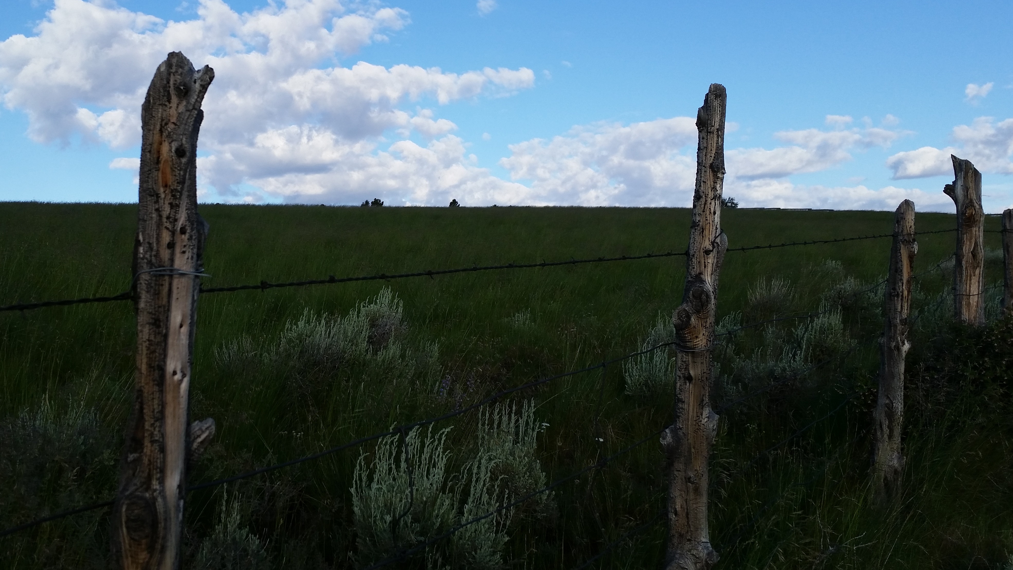 Fence line on Tavaputs Plateau